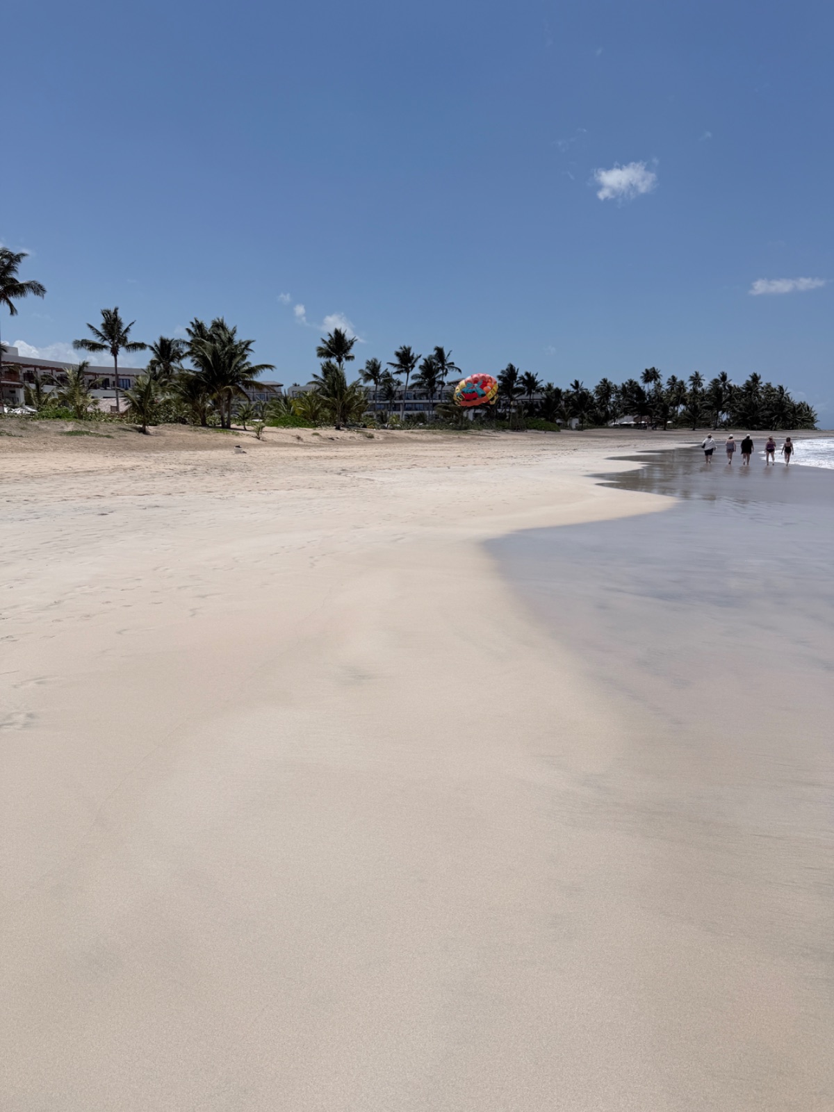 A long, nearly empty stretch of golden sand and palm trees along Playa Esmeralda. Photo: Dreams Fulfilled Travel Dream Designer